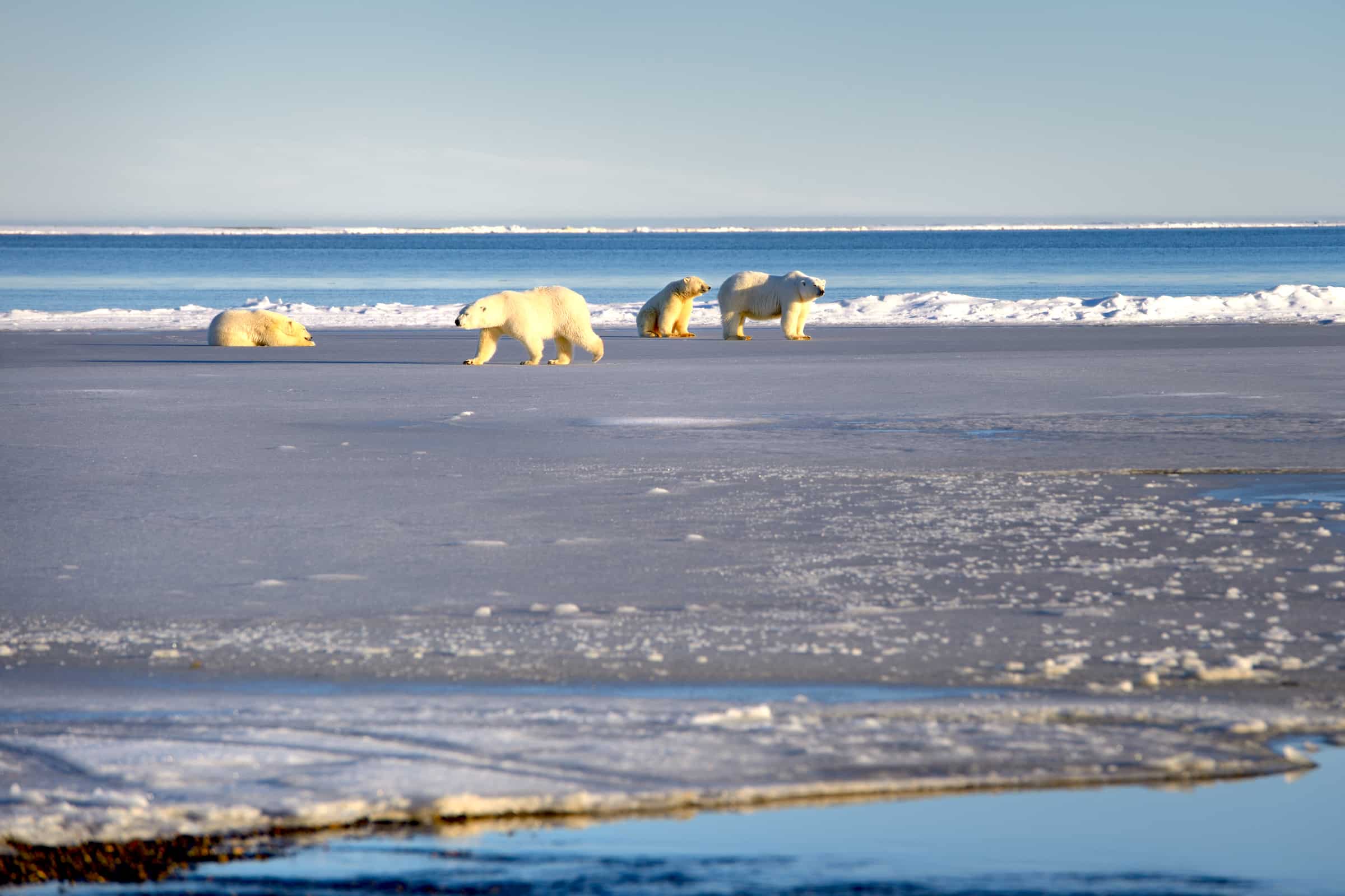 Mar de Beaufort