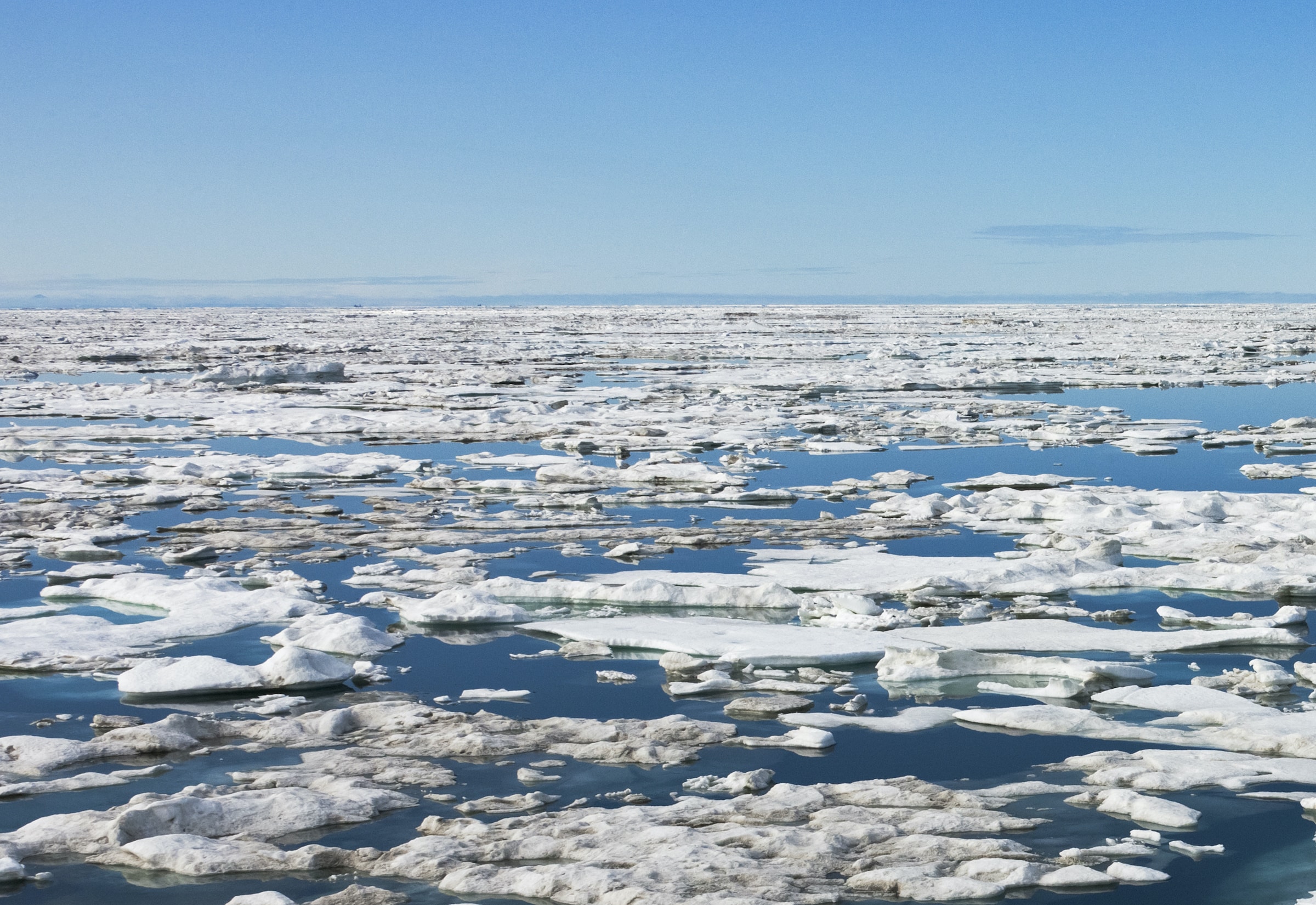 Mare di Bering