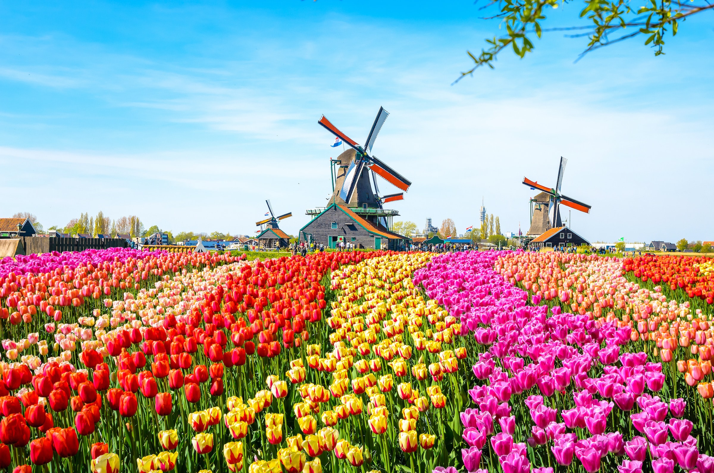 Holland im Frühling